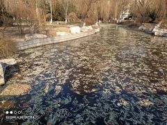 -山东理工大学