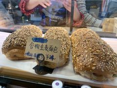 -GAONNURI加温努力(马场店)