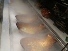 -格瑞欧海鲜自助烤肉火锅(光彩店)