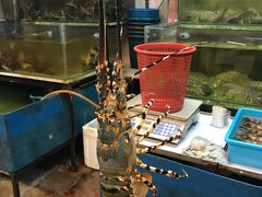 -ZF Seafood Restaurant 卓峰海鲜餐
