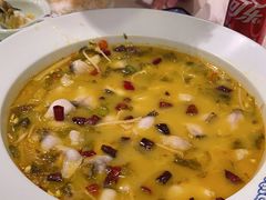 -蜀腾川·火锅鱼.烤鱼(新世界城店)