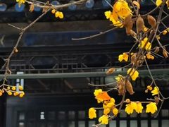 -西安化觉巷清真大寺