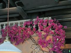 -前海沿·青岛菜(李沧万达店)