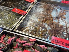 -湛江渔港·大排档(乐园路总店)