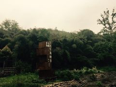 -川西竹海景区