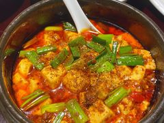-陈麻婆豆腐总店