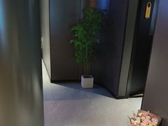 -梵猫·新养生(鹭江大同店)