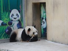 -西安秦岭野生动物园