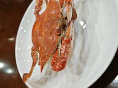 -红灯笼龙凤饭店(宁波老字号店)