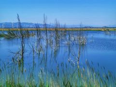 -野鸭湖国家湿地公园