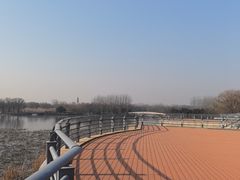 -大兴滨河森林公园