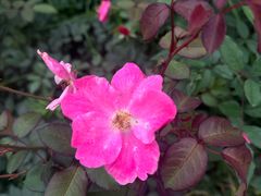 -汉长安城未央宫国家考古遗址公园