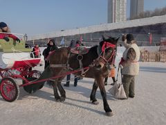 -人民防洪胜利纪念塔