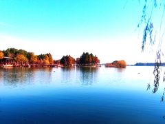 -贡湖湾湿地公园