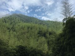 -山沟沟景区