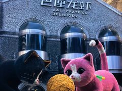 -巴厘龙虾·榜首油焖大虾(洞庭·艺术洋房店)