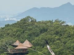 -三亚亚龙湾人间天堂鸟巢度假村