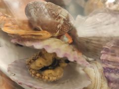 -港畔赶海蒸汽海鲜烧烤自助(仙螺岛店)