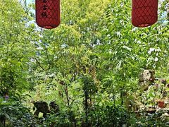 -青岩城南旧事·小时候的味道(青岩古镇黑金店)
