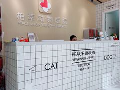 -柏萃动物医院·骨科·牙科