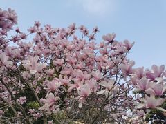 -白塘生态植物园