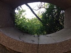 iphone_upload_pic-观象山公园