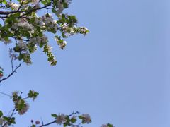 -郑州中国绿化博览园