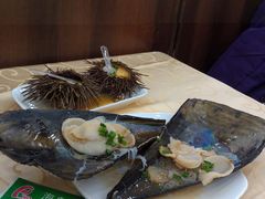 元贝-海岛渔村大酒店(云霄路店)