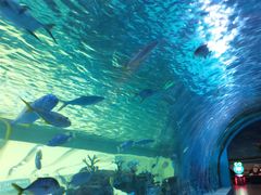 -常州海昌海洋探索馆