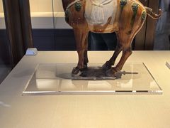 -旅顺博物馆