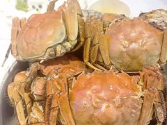 -半岛听涛蒸汽海鲜自助(K11店)