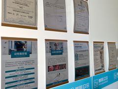 -美联众合动物医院·24h京西诊疗中心