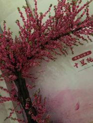 -禾美嘉医疗美容