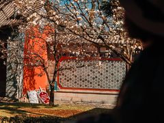 -总统兵马大元帅府