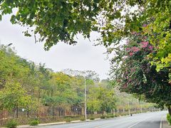 -南宁市凤岭儿童公园