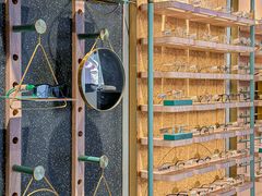 -MUJOSH木九十眼镜(日月光店)