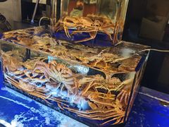 -蟹道乐(道顿堀本店)