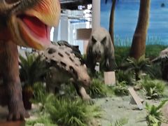 -辽宁古生物博物馆