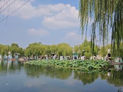 -百花洲