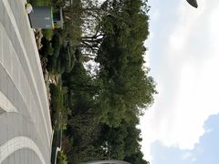 -昆山城市生态森林公园