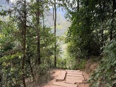 -青城山