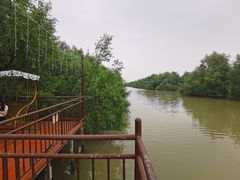-崖口红树林海鲜餐厅