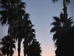 -大宁公园