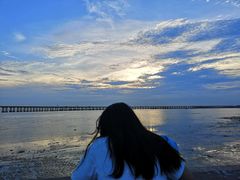 -宝安西湾红树林湿地公园