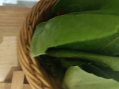 -菌子鲜汤野生菌锅