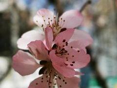 -奥体中心(地铁站)