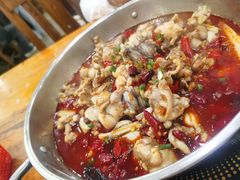 -专业跳跳蛙·彭彭老铺(步行街店)