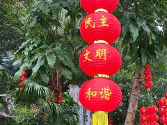 -广州市流溪河国家森林公园