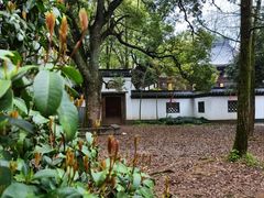 -西湖风景区十里琅珰-五云山