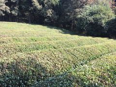 -敬亭山风景名胜区